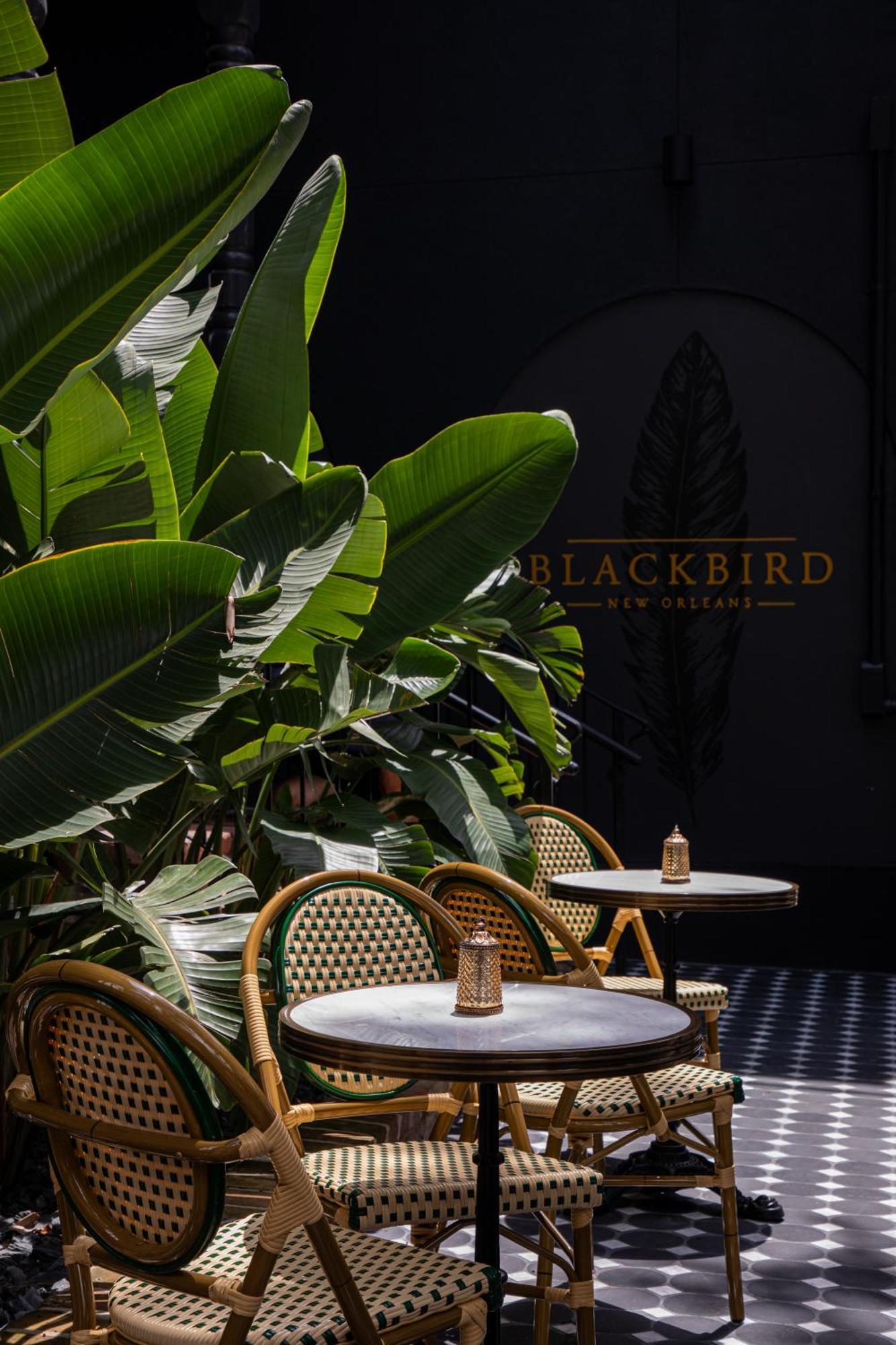 Blackbird Hotel Новий Орлеан Екстер'єр фото
