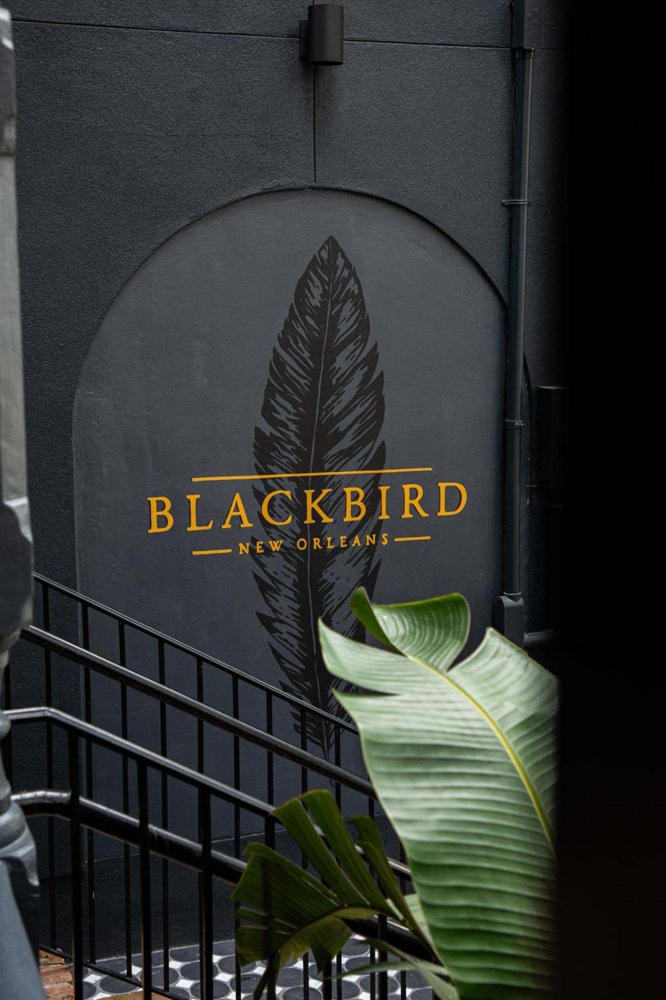 Blackbird Hotel Новий Орлеан Екстер'єр фото