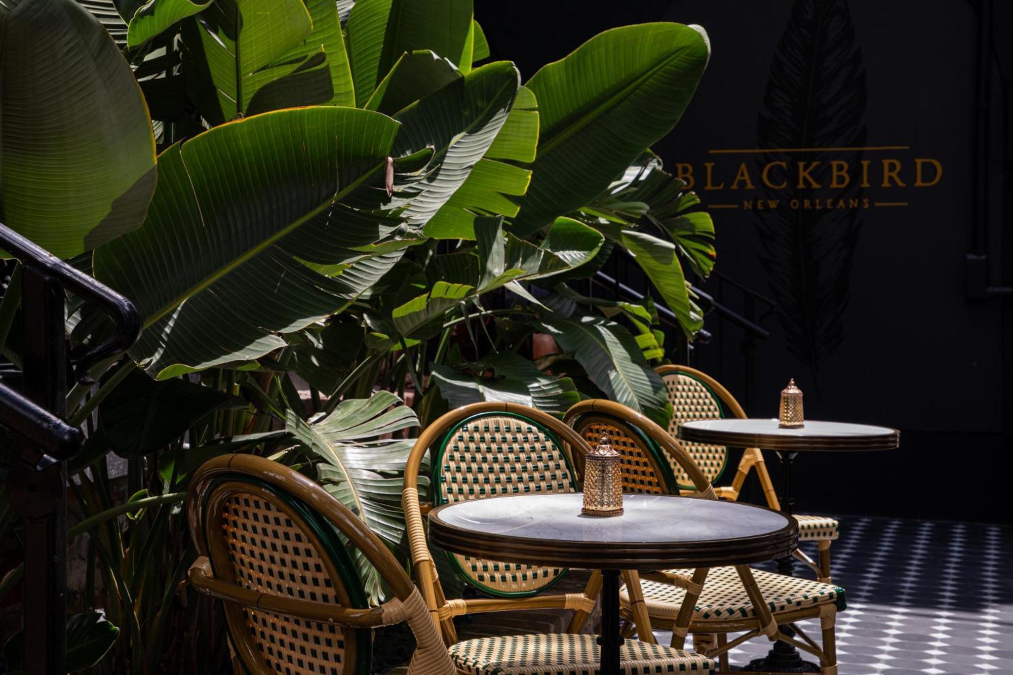 Blackbird Hotel Новий Орлеан Екстер'єр фото